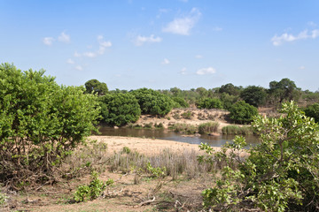 Fototapeta na wymiar The Sabie River in the Kruger National Park, South Africa