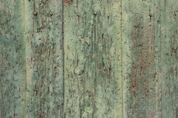 Wooden vintage green texture.