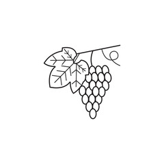 Grapes line icon, healthy fruit, vector graphics, a linear pattern on a white background, eps 10.