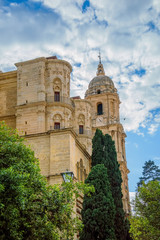 Fototapeta na wymiar Malaga Cathedral in Andalusia, Spain