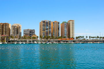 Fototapeta na wymiar Malaga port with yachts, boats and birds on water