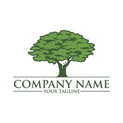 Obraz premium Green Oak Tree, Vector Logo Design