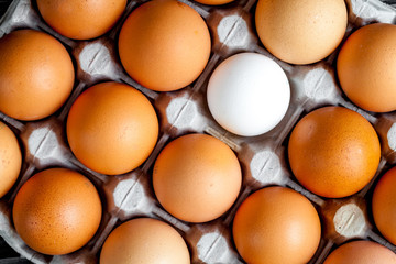 concept of correct choice eggs on wooden background top view