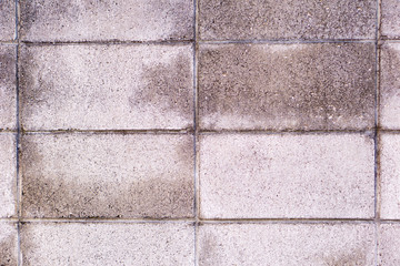 狸の夫婦の焼き物