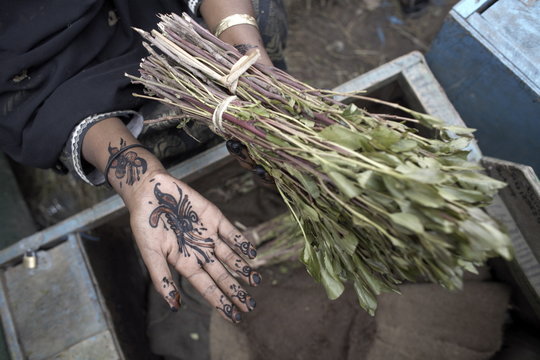 Henna adorn the hands of a woman selling khat (qat) (chat) in the city of Hargeisa, capital of Somaliland, Somalia