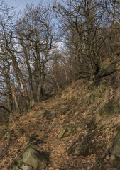Fototapeta na wymiar Path near hill Milesovka in winter