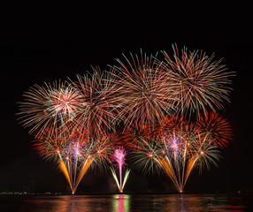 Multicolor Firework Celebration