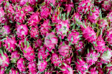 Group of fresh dragon fruits