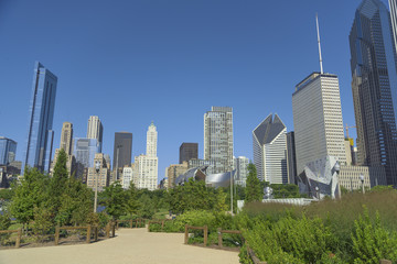 Fototapeta na wymiar maggie daily park chicago buildings 