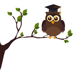 owl with hat graduation vector illustration design