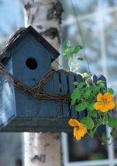Nest box