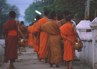 Buddhist Priest