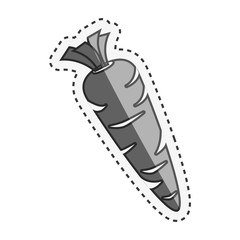 fresh vegetable isolated icon vector illustration design