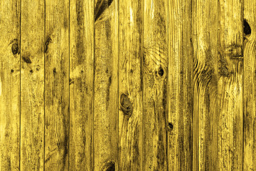 Wall of golden wood texture background macro