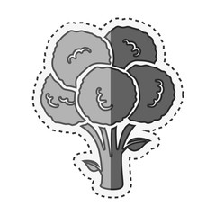 fresh vegetable isolated icon vector illustration design