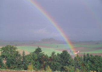 Rainbow