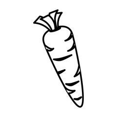 fresh vegetable isolated icon vector illustration design