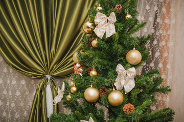 Fototapeta premium Christmas tree