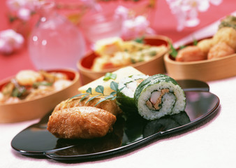 Boxed lunch for cherry blossoms viewing