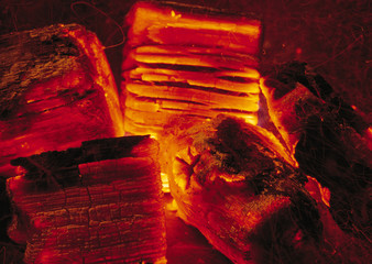 Charcoal Fire