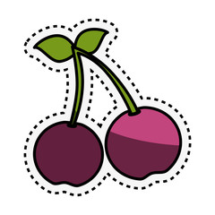 fresh fruit with cut line isolated icon vector illustration design