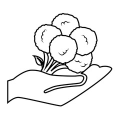 hand human with fresh vegetable isolated icon vector illustration design