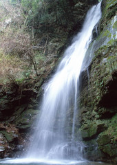 Fototapeta premium Waterfall