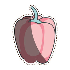 fresh vegetable with cut line isolated icon vector illustration design