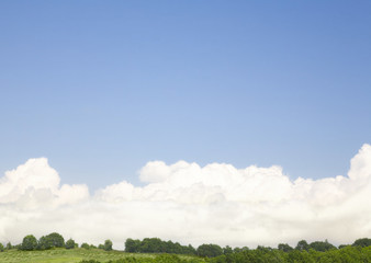 Obraz premium Blue sky