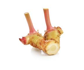 Fresh galangal isolated on white background.