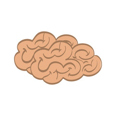 Human brain mind icon vector illustration graphic design