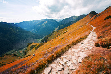 Fototapeta premium Fantasy and colorfull nature landscape. Carpathia.