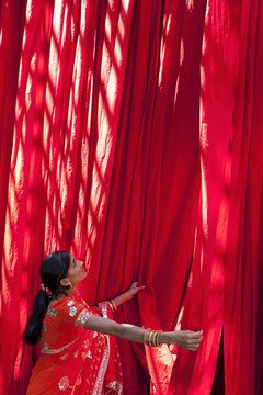 Woman in sari checking the quality of freshly dyed fabric hanging to dry, Sari garment factory, Rajasthan