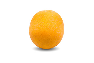 Orange fruit in white background