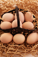 新鮮な玉子
