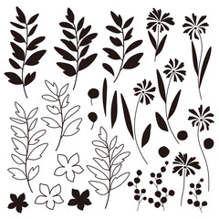 植物のイラスト