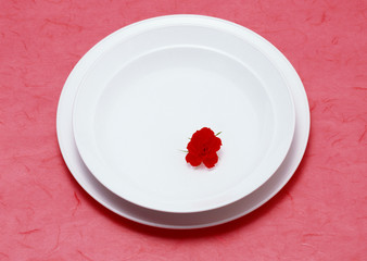 Bridal & Celebratory occasions