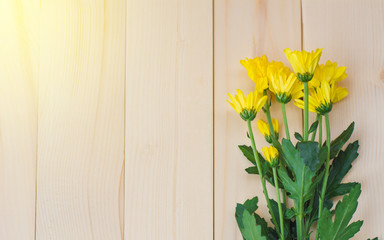 chrysanthemum yellow on background wood and soft light