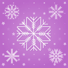 Set of white snowflakes. Vector illustration on a colored background.