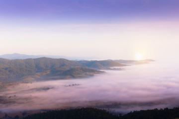 Fototapeta na wymiar Sea fog on a mountain valley in the Chiangrai, Thailand.