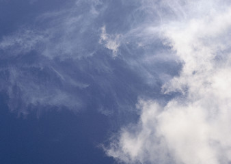 Fototapeta premium Blue Sky