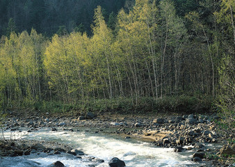 Fototapeta na wymiar Ishikari River