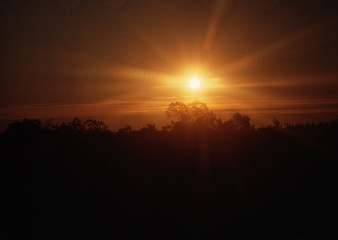 Sky