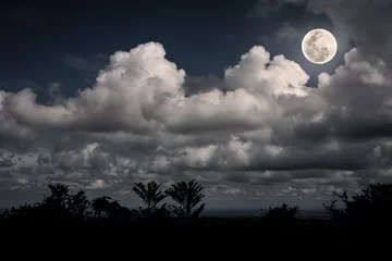 Fototapete Rund Silhouettes of tree and nighttime sky with clouds, bright full moon © kdshutterman