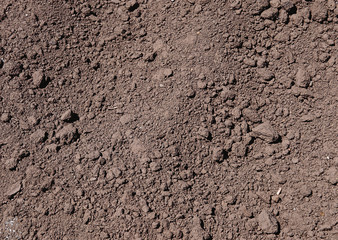 Soil