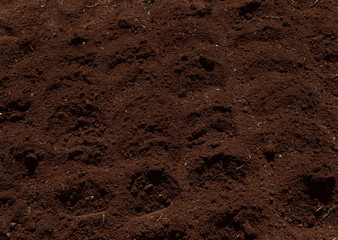 Soil