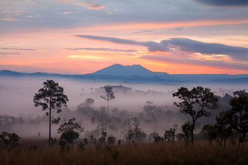 Misty morning sunrise at Thung Salang Luang National Park Phetch