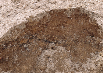 Soil