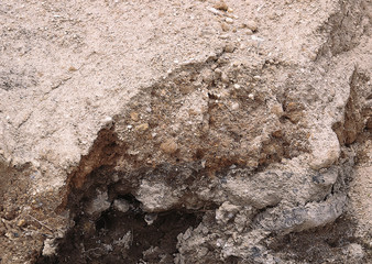 Soil