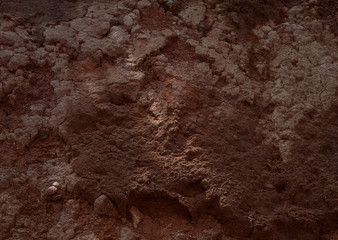 Soil